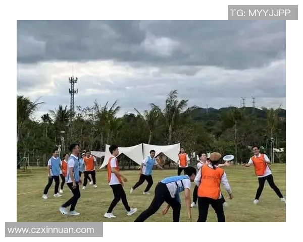 赛后复盘：北京飞盘队 vs 深圳飞盘队的团队协作